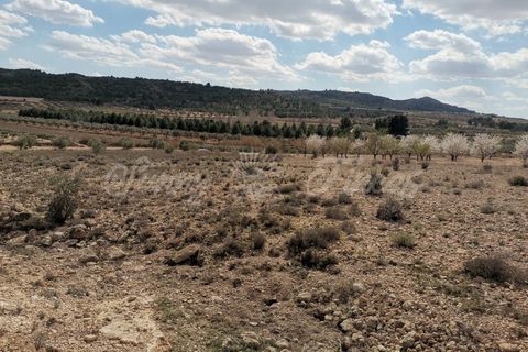 Helårsgrund i Caudete, Albacete, Caudete - € 35.000 | Ref: SF0388 - foto 6